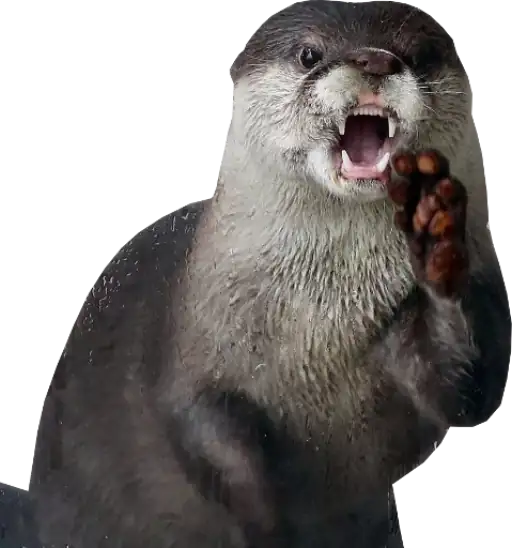 Стикеры для телеграмм и Whatsapp Otters Gotta Ott 4