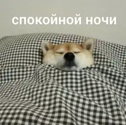 Стикеры для телеграмм и Whatsapp cute dogs meme